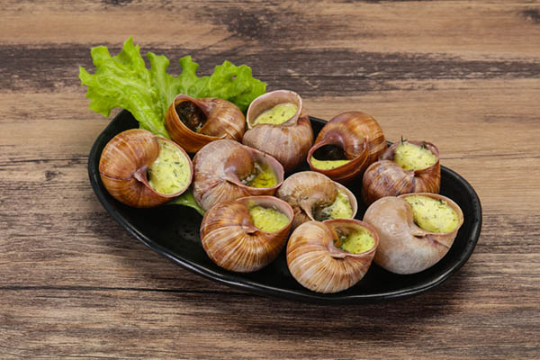 Snails to eat in a dish
